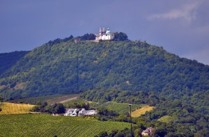Einer der Top-Aussichtspunkte in Österreich - Der Leopoldsberg in Wien